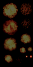 E019.png