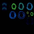 Thumbnail for version as of 15:02, 6 May 2016