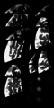 Thumbnail for version as of 14:57, 6 May 2016