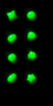 Thumbnail for version as of 14:55, 6 May 2016