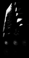 Thumbnail for version as of 14:57, 6 May 2016