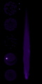 Thumbnail for version as of 14:55, 6 May 2016