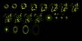E348.png