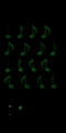 Thumbnail for version as of 14:48, 6 May 2016