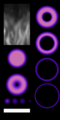 E247.png