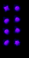Thumbnail for version as of 15:02, 6 May 2016